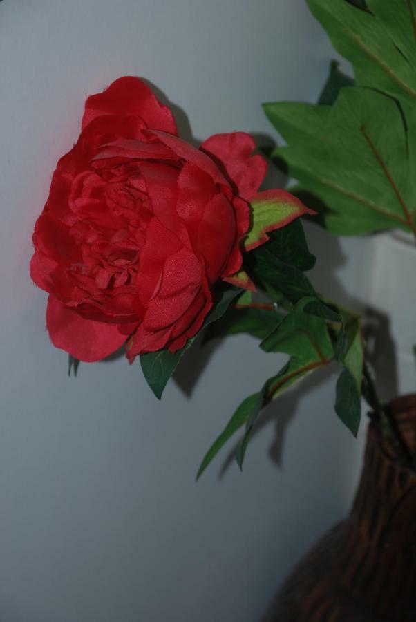 Cosy Studio Down Town Kavala Bagian luar foto